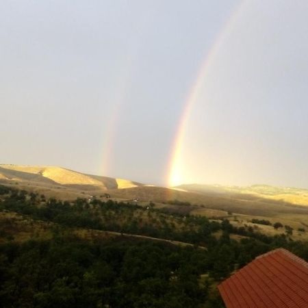 Vila Bliznakinja B Zlatibor Zewnętrze zdjęcie
