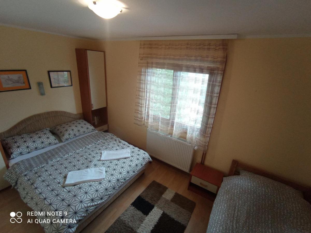 Vila Bliznakinja B Zlatibor Zewnętrze zdjęcie